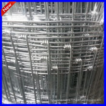 DM Prairie galvanized grassland fence (Golden supplier)